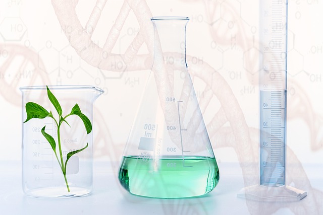 高效聚氨酯凝膠催化劑:三乙烯二胺(teda)的作用機理與應用